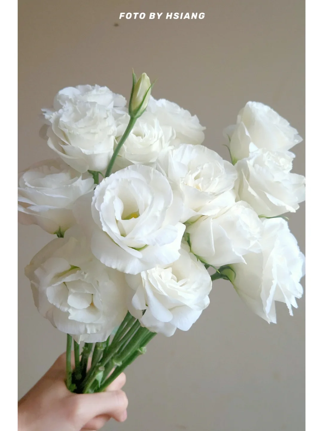 💐Lisianthus – Időtlen szépség, örök szerelem💫